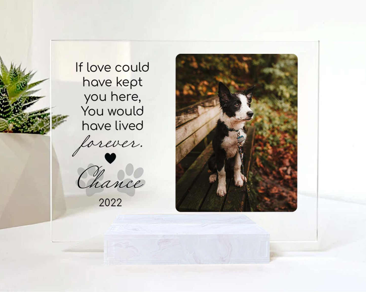 Custom Photo Memorial Gift For Dog Lovers • Personalized Photo Framed For Dog Passed Over • Sympathy Gift For Loss Of Dog • Acrylic Plaque