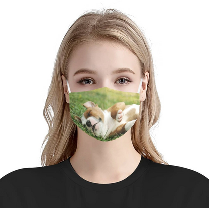Personalized With Your Pet's Photo - Cloth Face Mask 3 Pack, 5 Pack