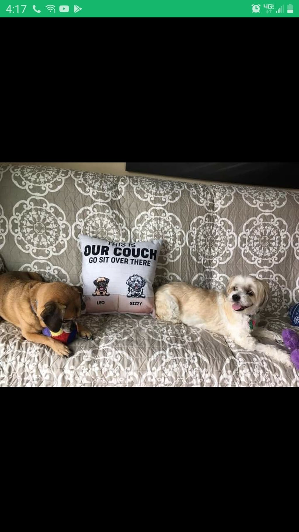 This Is Our Couch Dog Personalized Canvas Pillow (Insert Included)